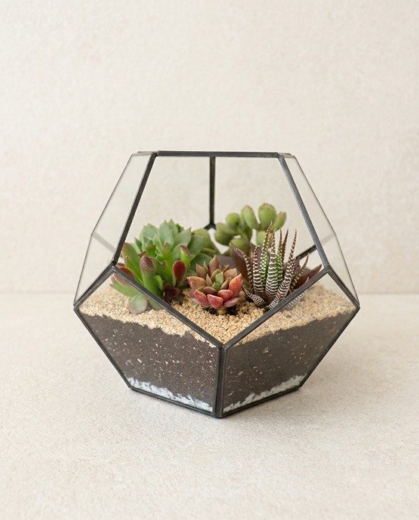 Producto - TERRARIO QATAR
