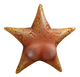 Producto - REF: 263 ESTRELLITA