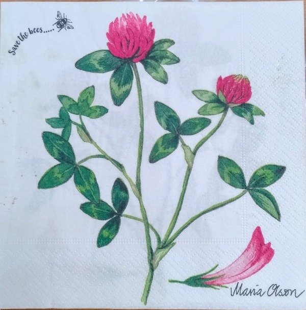Producto - Servilleta Cardos