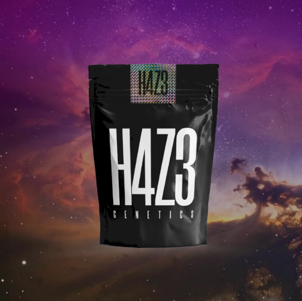 Producto - H4ZE Rad Sky Autofloreciente x4