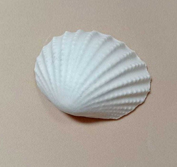 Producto - Ostra - PL28