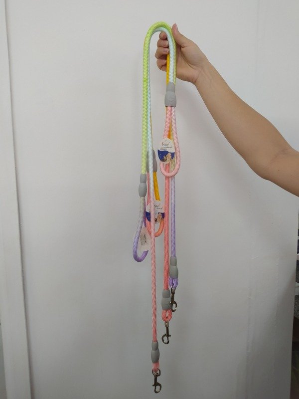 Producto - Correa para mascotas colores mezclados