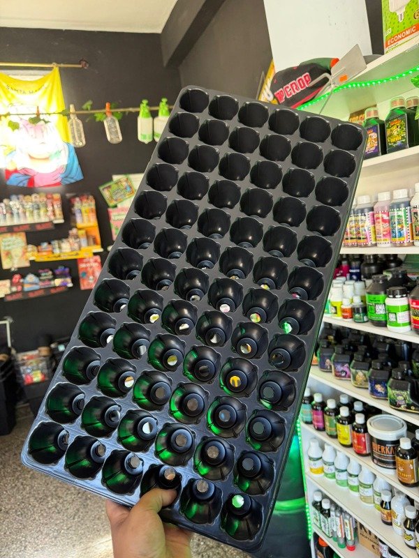 Producto - BANDEJAS PARA ESQUEJES O GERMINACIÓN X72 - PROPAGACIÓN RÁPIDA