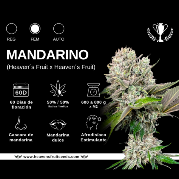 Producto - HEAVENS FRUIT MANDARINO