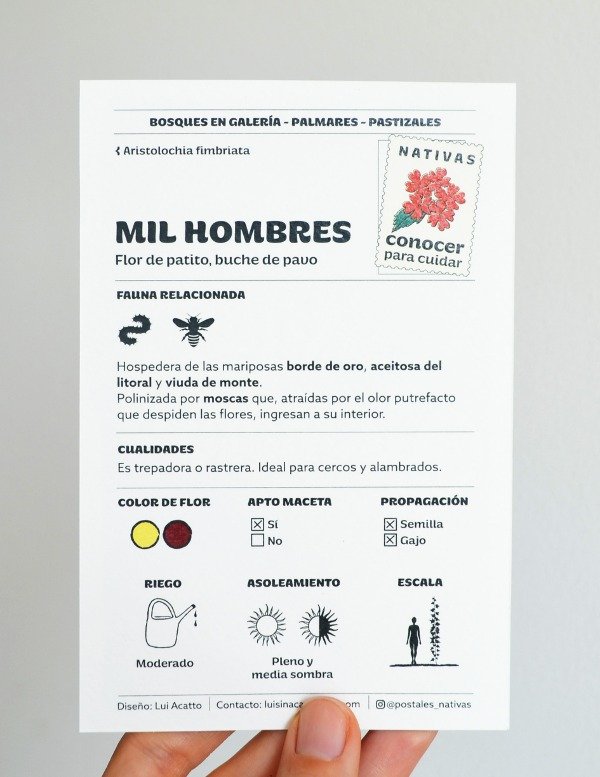 Producto - Postal - Mil hombres - 1