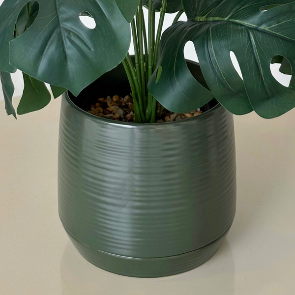 Producto - Maceta Orquídea Cerámica