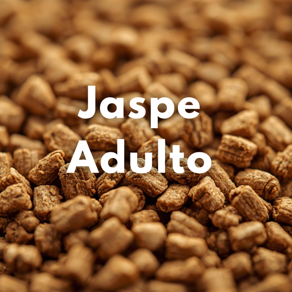 Producto - Jaspe Adulto (Granel)
