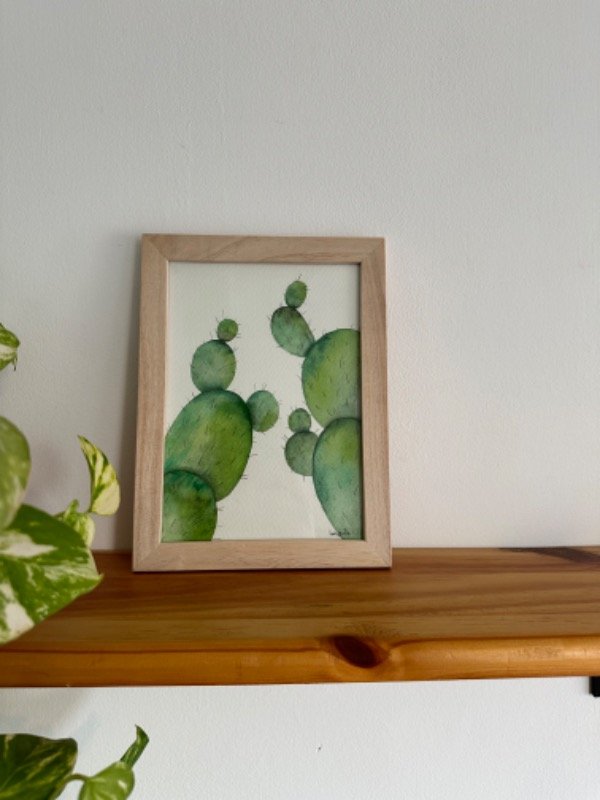 Producto - Cactus