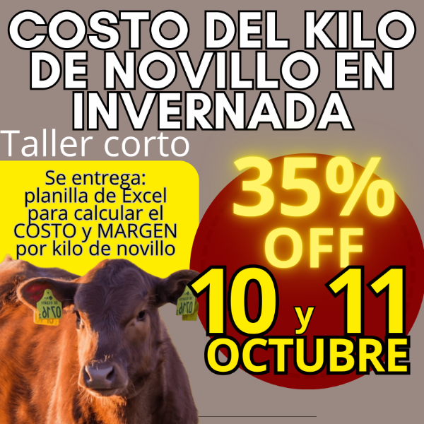 Producto - Taller corto: cálculo del costo del kilo de novillo - 0