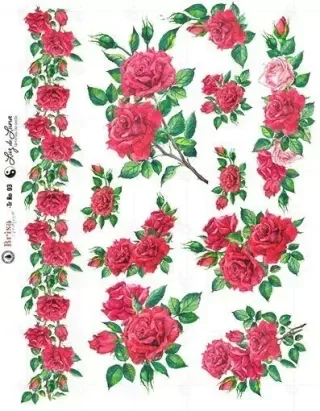 Producto - Transfer 20x30 cm Ro 03