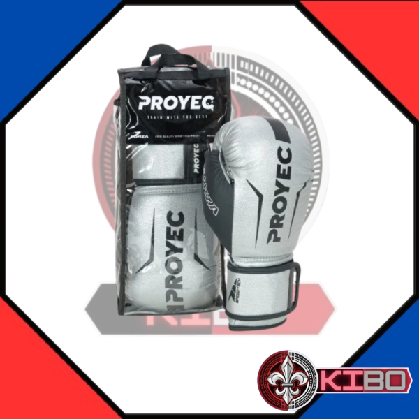 Producto - PROYEC FORZA - 7