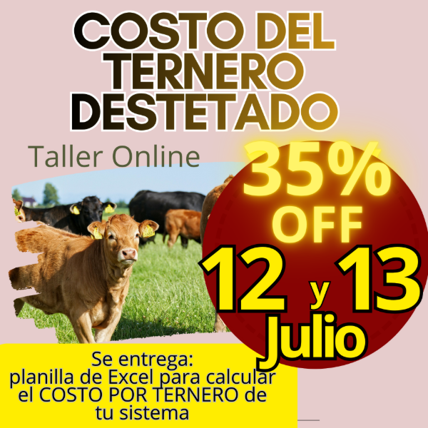 Producto - Taller Online: Costo del Ternero