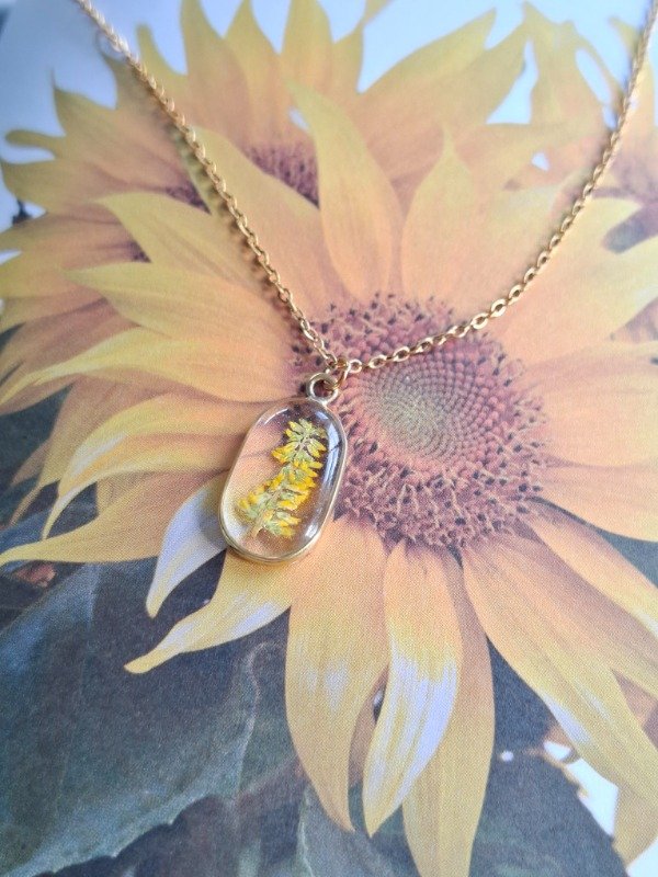 Producto - brote de sol