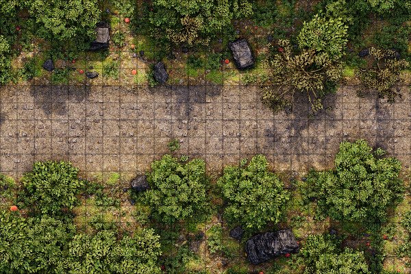 Producto - Camino en el bosque 1 L