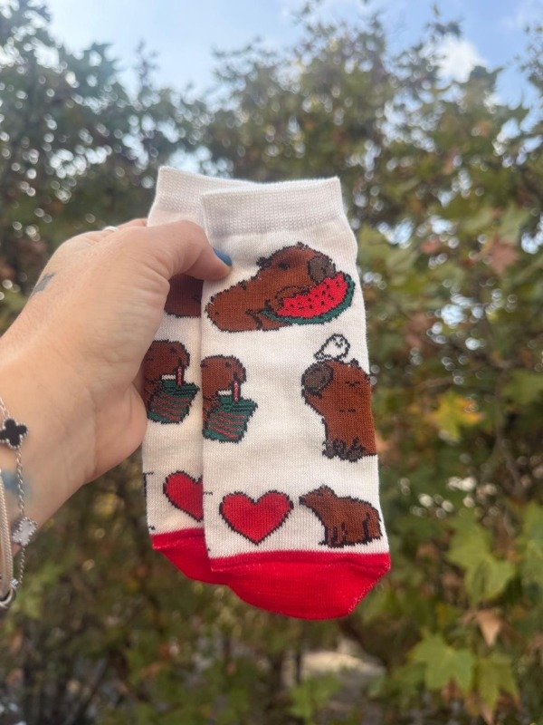 Producto - Capibara Blancas Niños