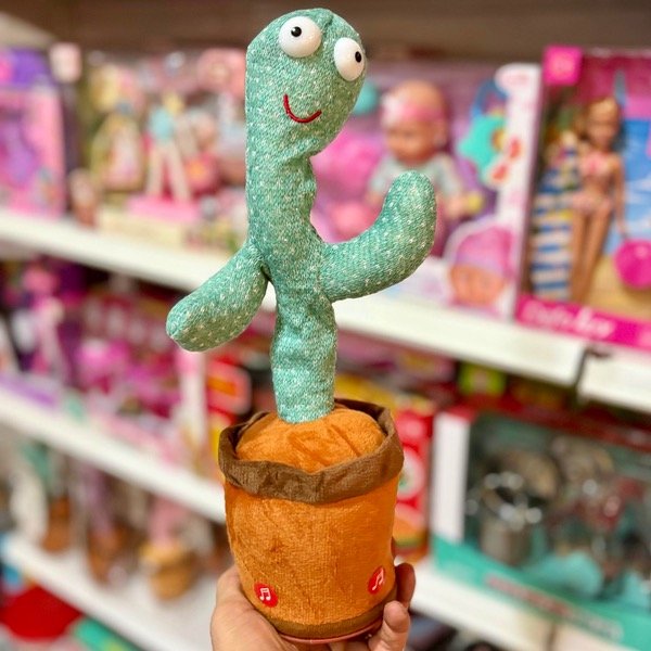 Producto - Cactus Bailarín 371421