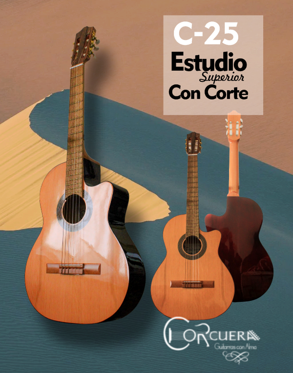 Producto - C-25 Guitarra Clásica de estudio Superior con Corte (Cutaway) + Funda Ritter