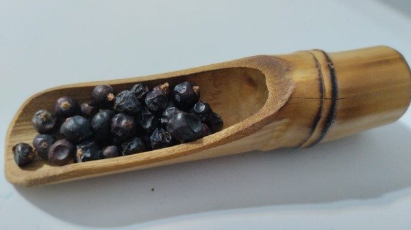 Producto - Enebro en Bayas