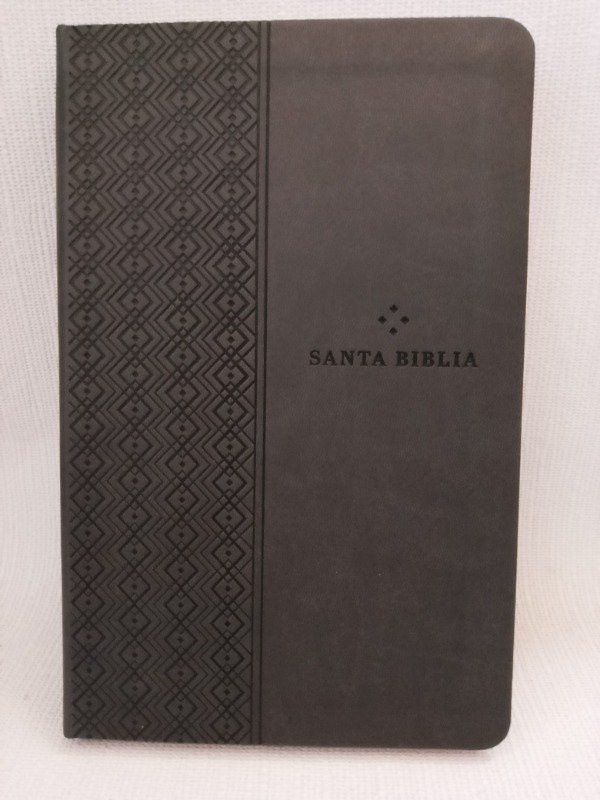 Producto - Biblia Nueva Traducción Viviente NTV Gris