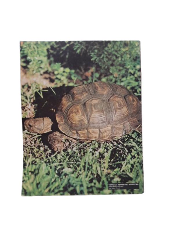 Miniatura de producto - 7