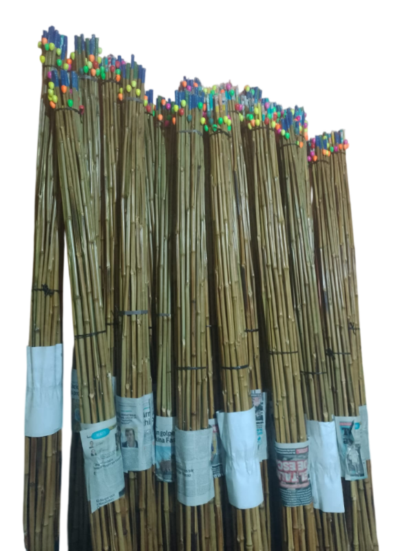 Producto - CAÑAS MOJARRERAS TERGOPOL O PLASTICO (Precio por 25 unidades)