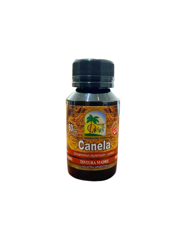 Producto - TINTURA MADRE CANELA OASIS 60ML