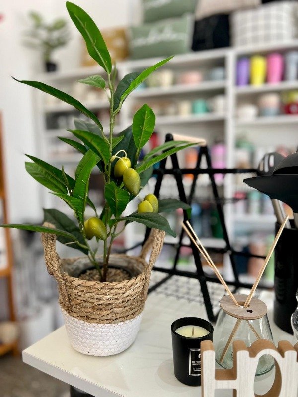 Producto - Cesto Natura Blanco