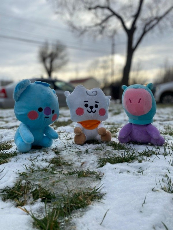 Producto - PELUCHE KPOP BTS