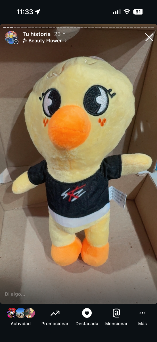 Producto - FÉLIX STRAY KIDS