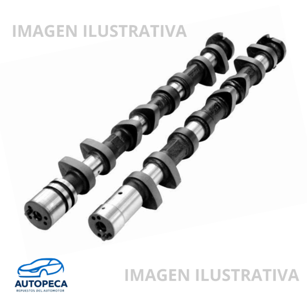 Producto - Arbol de Levas Mercedes Benz "OM924" LA T. Eco. - Euro 3-4 /Bus OF1722 - c/Engr.