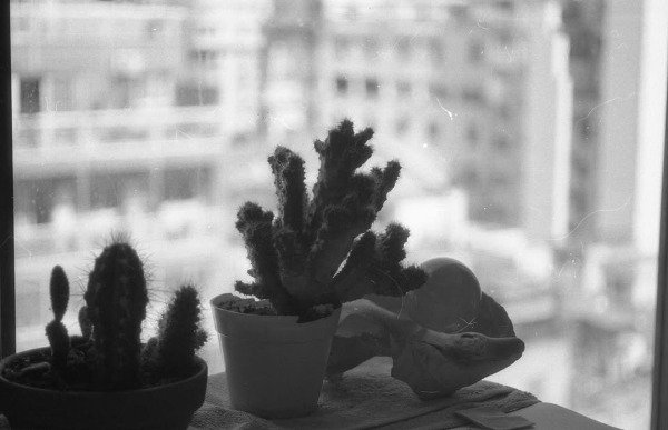 Producto - Rollo Fuji Neopan SS 100 Blanco y Negro Vencido 2005 - 4