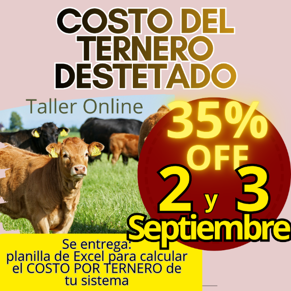 Producto - Taller Online: Costo del Ternero - 0