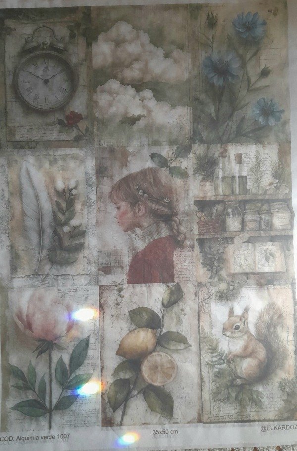 Producto - ALQUIMIA 1007