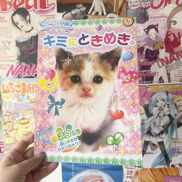 Producto - Print gatito