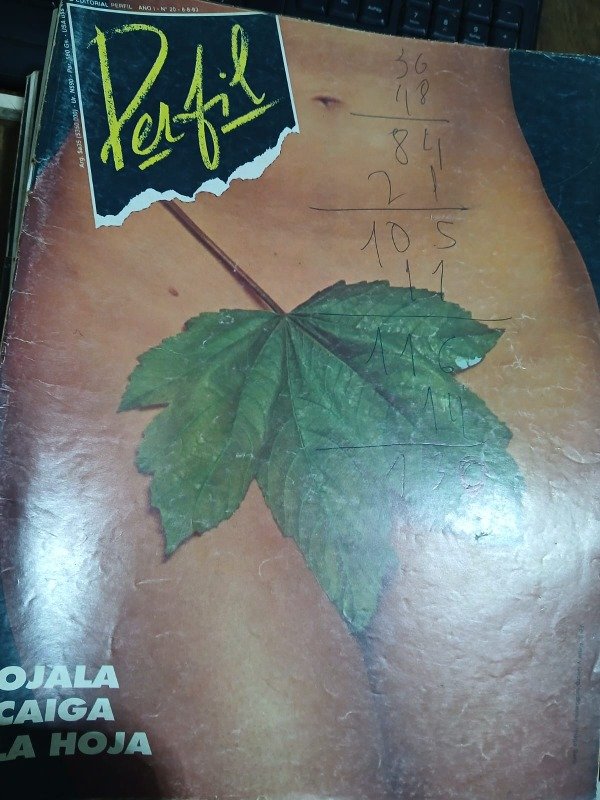 Producto - REVISTA PERFIL N 20