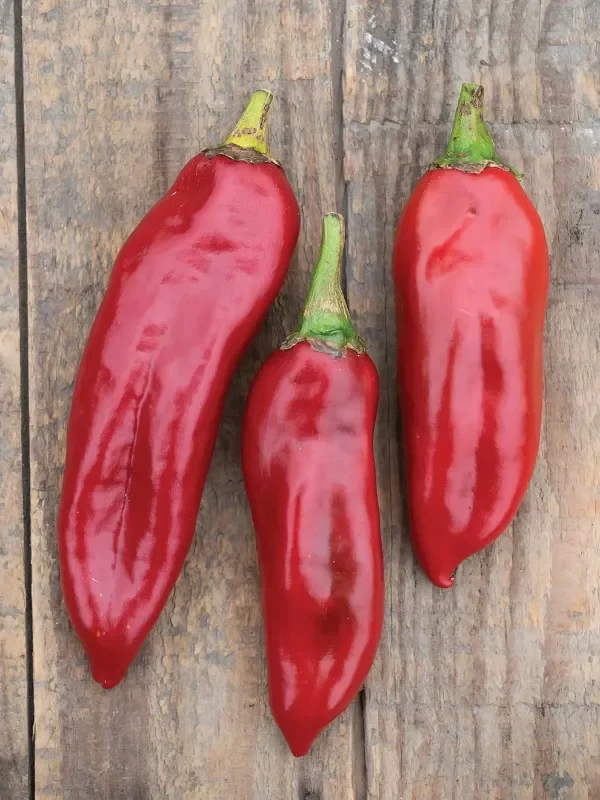 Producto - SEMILLAS DE AJI PICANTE ANAHEIM DE CALIFORNIA