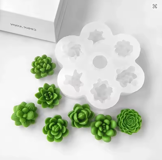 Producto - MOLDE SUCULENTAS X7 #817