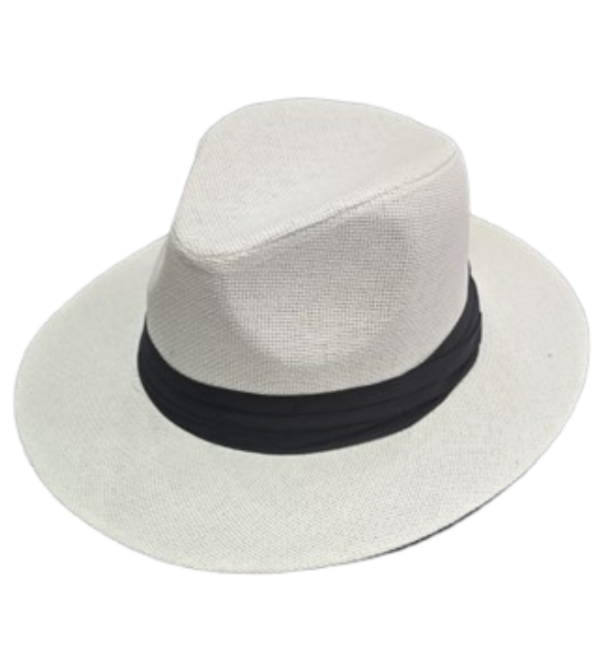 Producto - PANAMA 6
