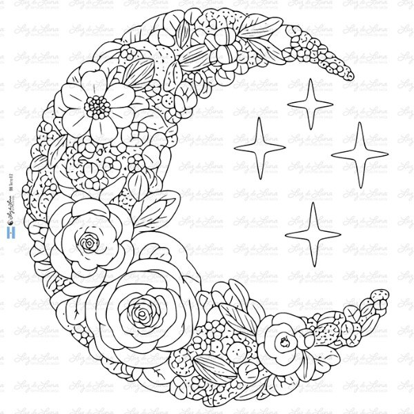 Producto - BM Terra 02