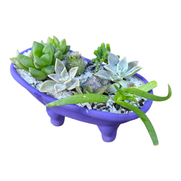 Producto - Maceta bañera violeta