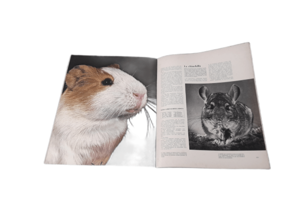 Miniatura de producto - 5