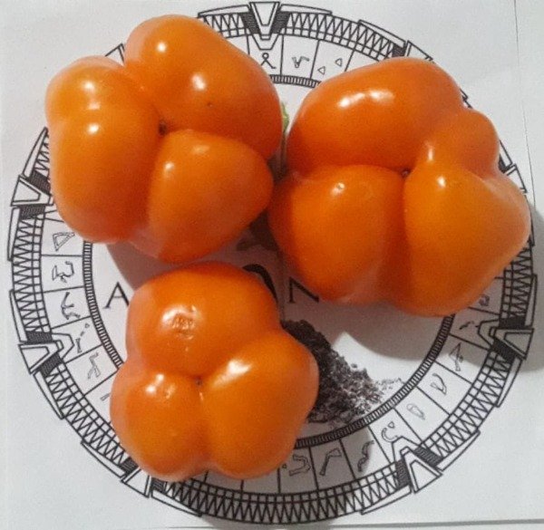 Miniatura de producto - 2