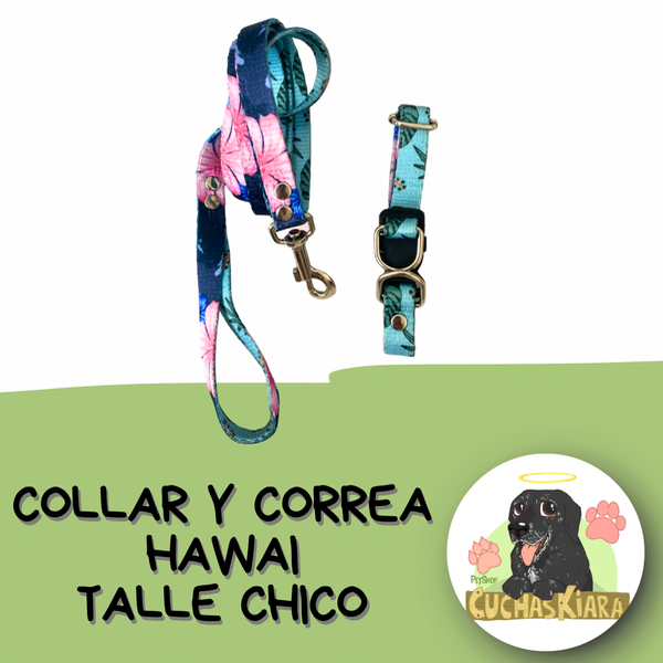 Producto - Collar y Correa Talle Chico