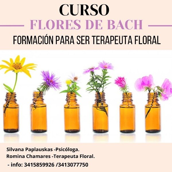 Producto - CURSO FLORES DE BACH FORMACION