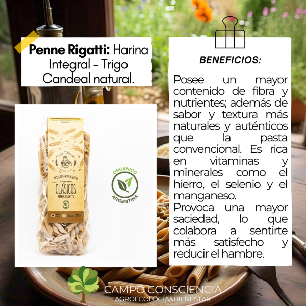 Producto - Pastas integrales CLASICOS - Penne Rigatti - 1