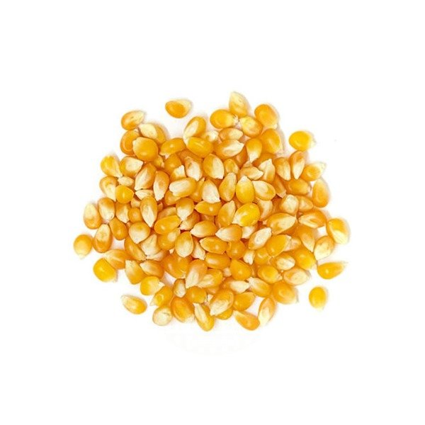 Producto - Maíz Pisingallo