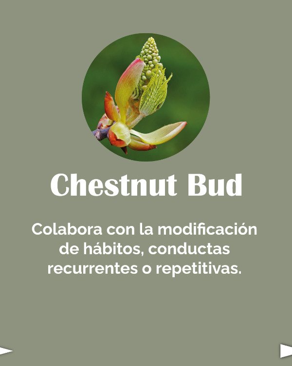 Miniatura de producto - 8