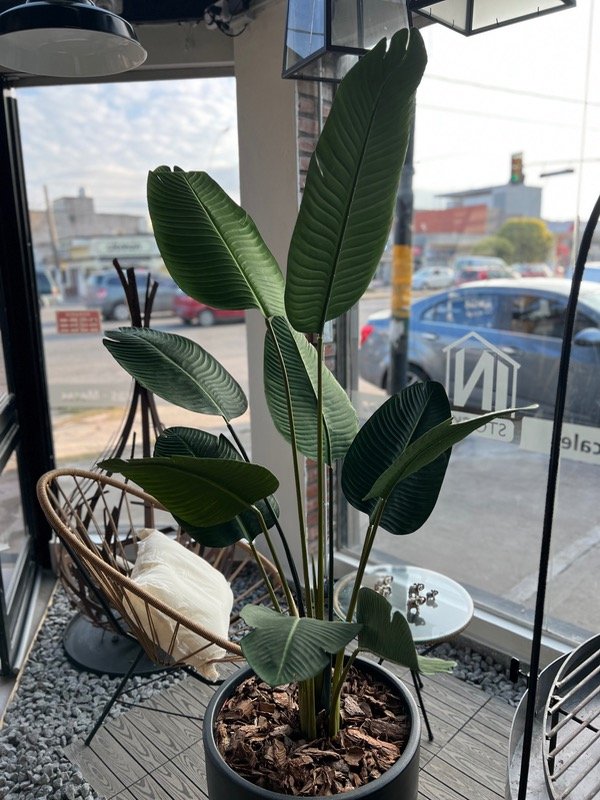 Producto - Planta artificial Ave Paraíso 1.60 mt
