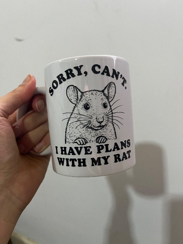 Producto - Taza sorry cant