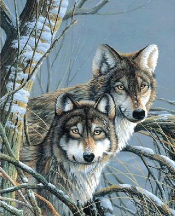 Producto - Kit De Pintura Con Diamantes Diamond Painting 40x50cm - Lobos